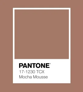 mocha-mousse Savor the Shade: Mocha Mousse and its Impact on Brand Strategy